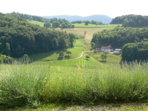 Gîte la Sapinière